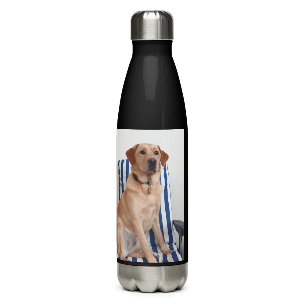 Stainless Steel Water Bottle