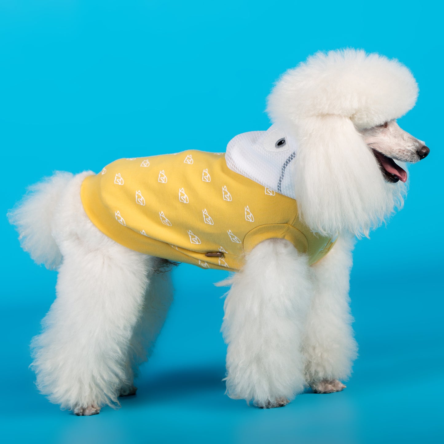 Cotton Stretch Dog Clothes for Spring and Summer