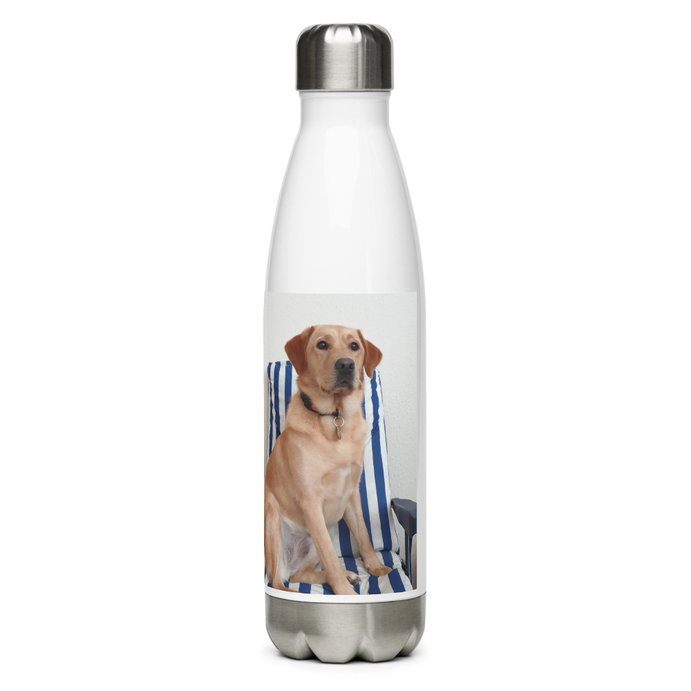 Stainless Steel Water Bottle