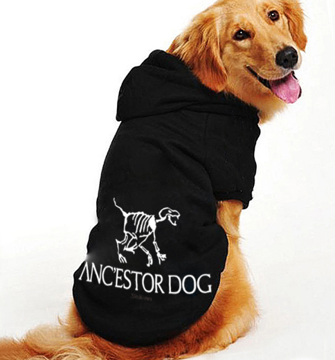 Thickened Cotton Clothing for Autumn and Winter