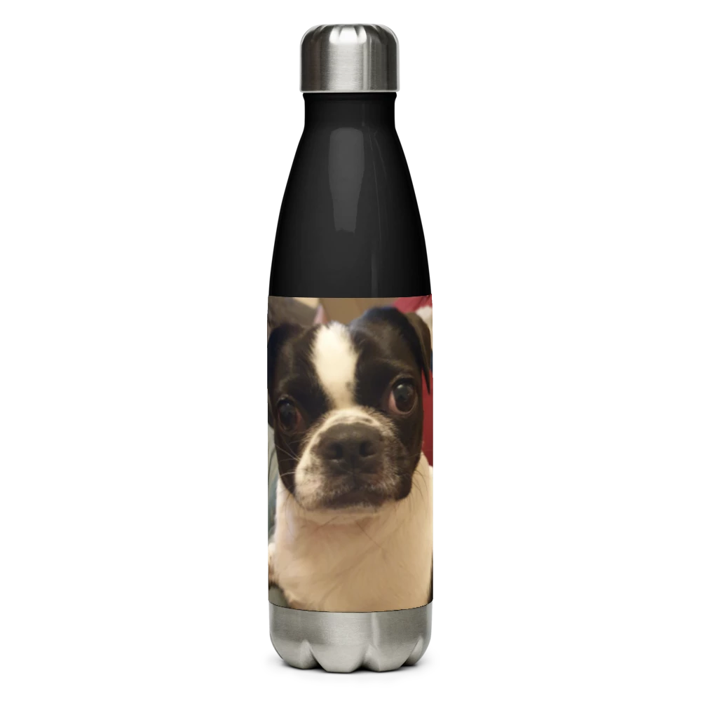 Stainless Steel Water Bottle