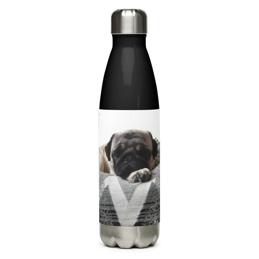 Stainless Steel Water Bottle