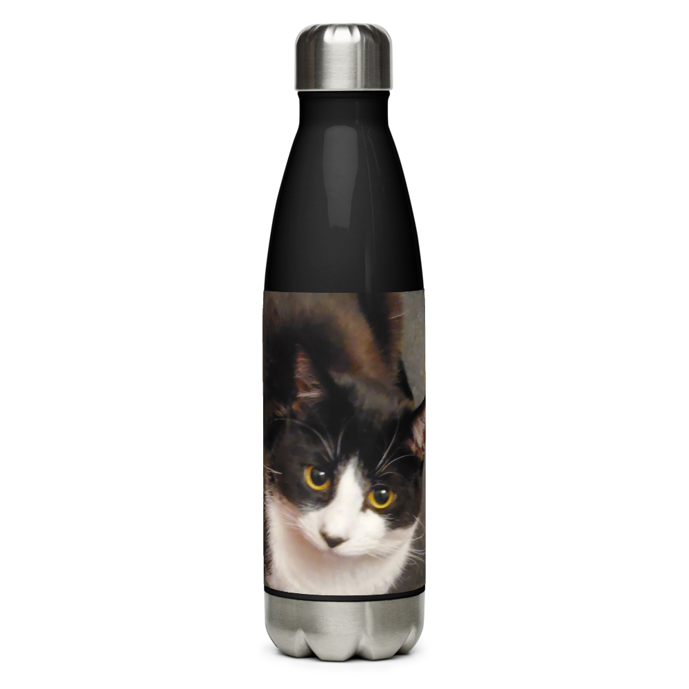 Stainless Steel Water Bottle