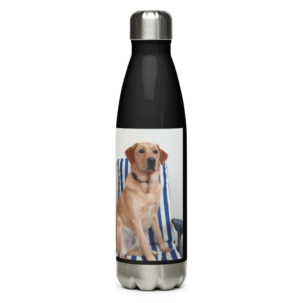 Stainless Steel Water Bottle